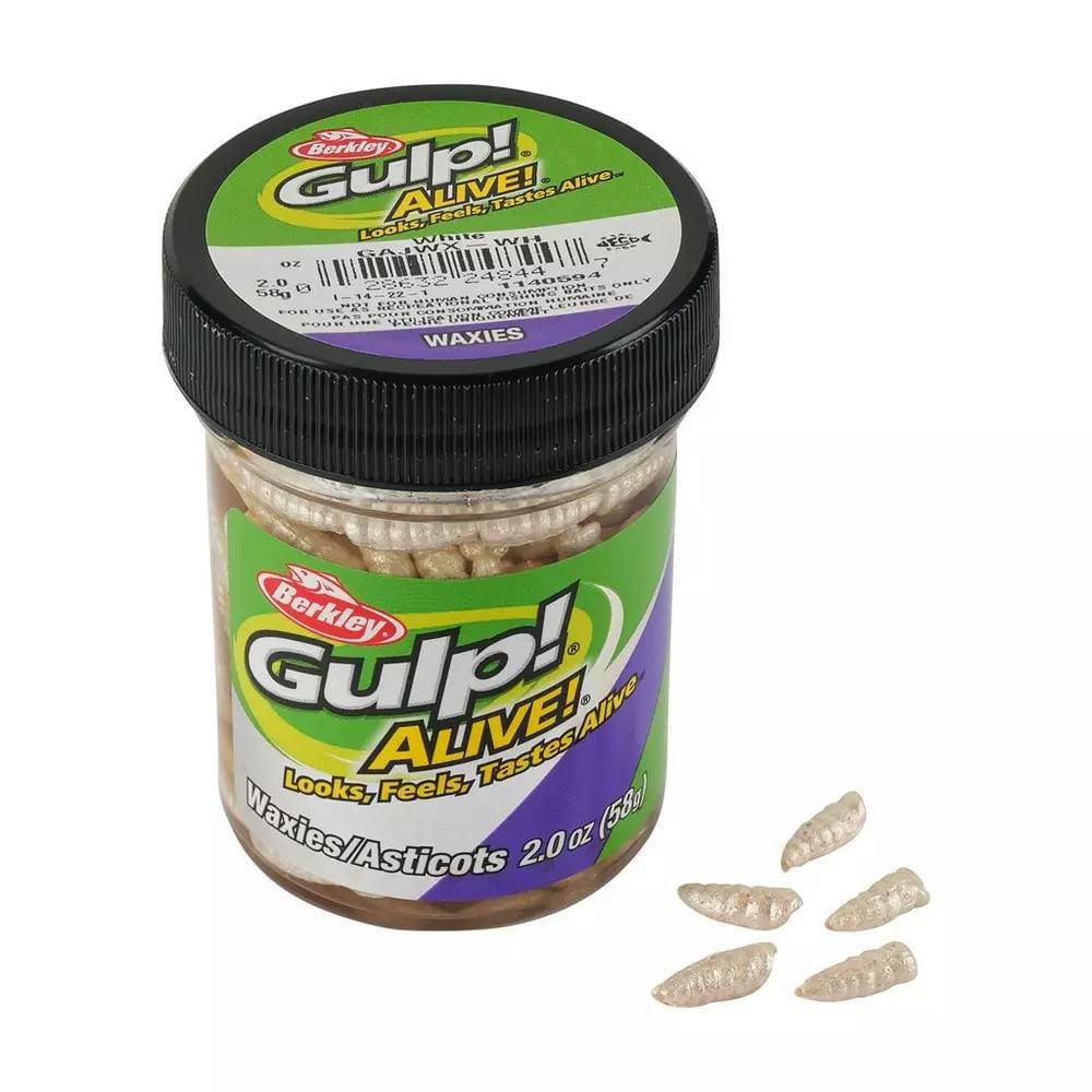 Berkley Gulp Alive Waxies - Slo Poke Bait & Tackle