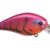 Strike King KVD 1.0 Square Bill Crank Bait - Image 3