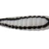 Johnson - Bettle Spin 1/32oz. - Image 11