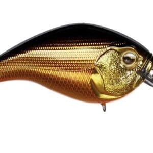 13 Fishing - Scamp 1.5
