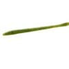 Zoom - Trick Worm - Image 24
