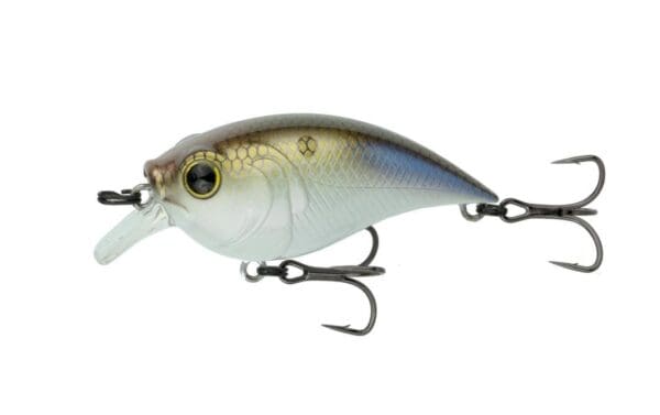 Cloud 9 - Curve Finesse Squarebill - Image 6