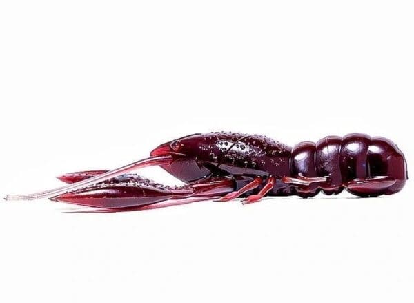 Nikko - Craw - Image 5