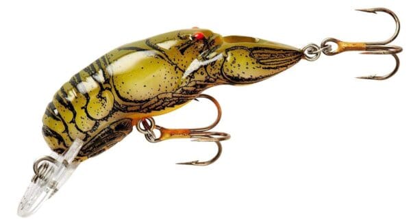 Rebel - Wee-Crawfish