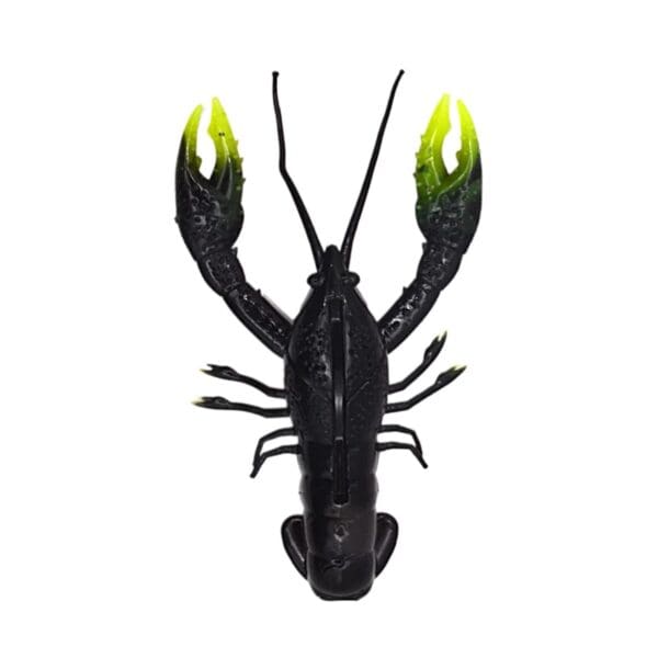 Nikko - Craw