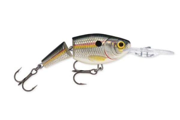 Rapala -  Jointed Shad Rap® JSR-5 - Image 2