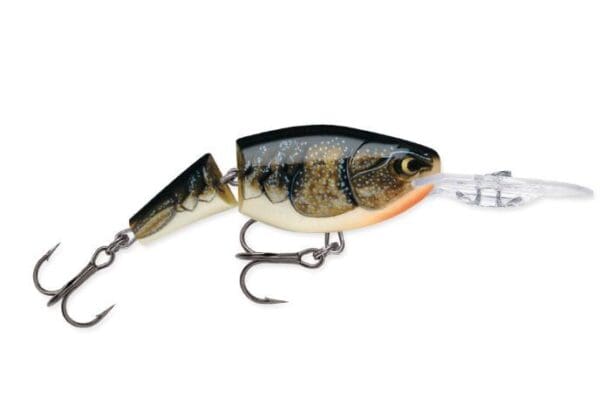 Rapala -  Jointed Shad Rap® JSR-5 - Image 4