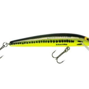 Bagley Bang O Lure