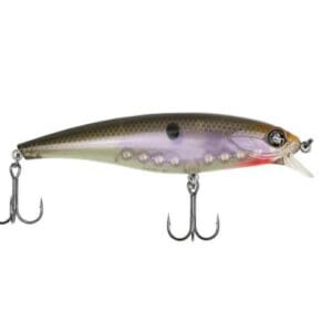 Googan Squad - JR. Scout (Native Shad)