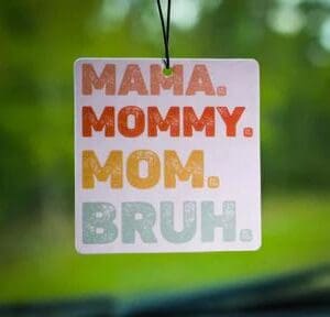 Scent South Air Freshener - Bruh