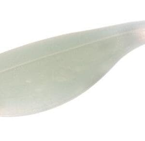 Close-up of a single green leaf with a smooth texture.