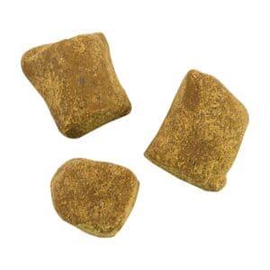 Three pieces of dry pet food kibble.