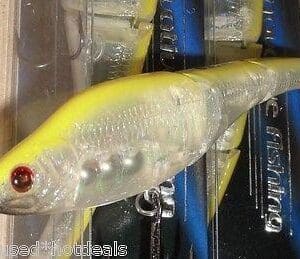 Close-up of a yellow and white fish with red eyes in an aquarium.