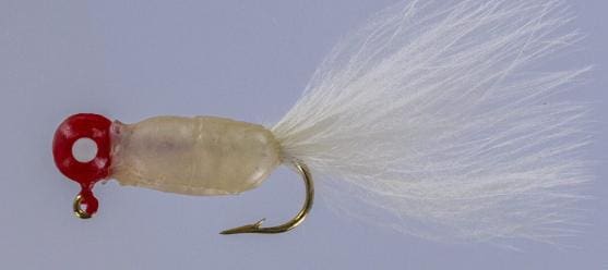 Close-up of a fishing fly with white feather tail and gold hook.